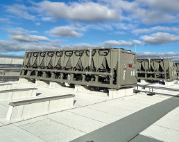 Screenshot 2026-01-16 115014